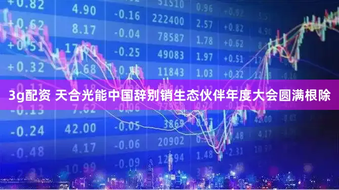 3g配资 天合光能中国辞别销生态伙伴年度大会圆满根除