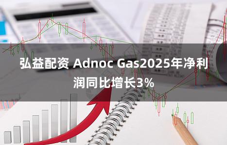 弘益配资 Adnoc Gas2025年净利润同比增长3%