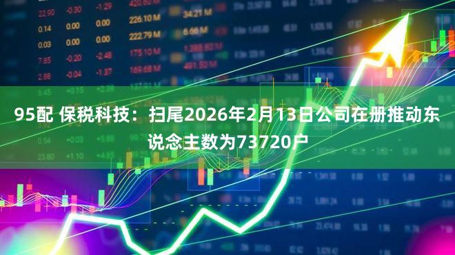 95配 保税科技：扫尾2026年2月13日公司在册推动东说念主数为73720户