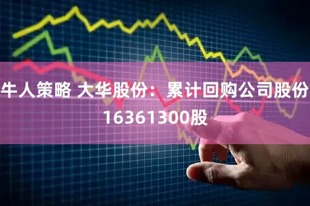 牛人策略 大华股份：累计回购公司股份16361300股