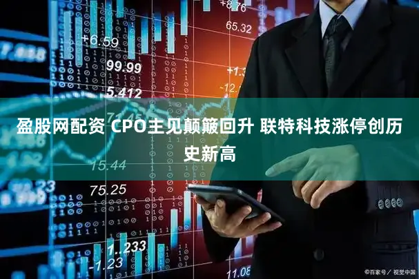 盈股网配资 CPO主见颠簸回升 联特科技涨停创历史新高