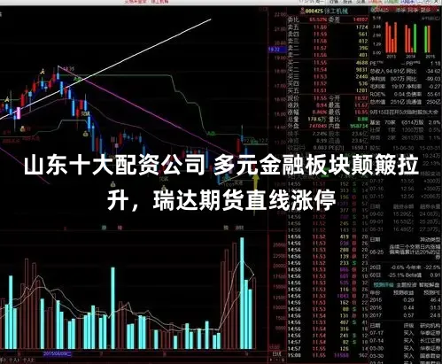 山东十大配资公司 多元金融板块颠簸拉升，瑞达期货直线涨停