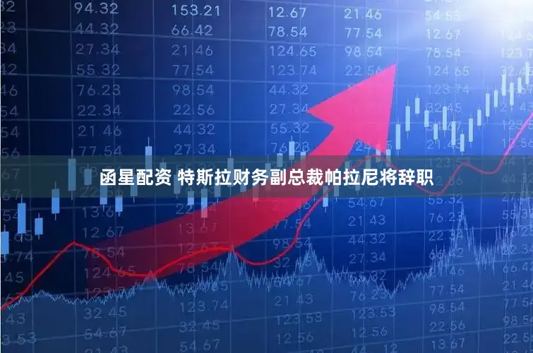 函星配资 特斯拉财务副总裁帕拉尼将辞职