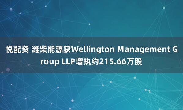 悦配资 潍柴能源获Wellington Management Group LLP增执约215.66万股