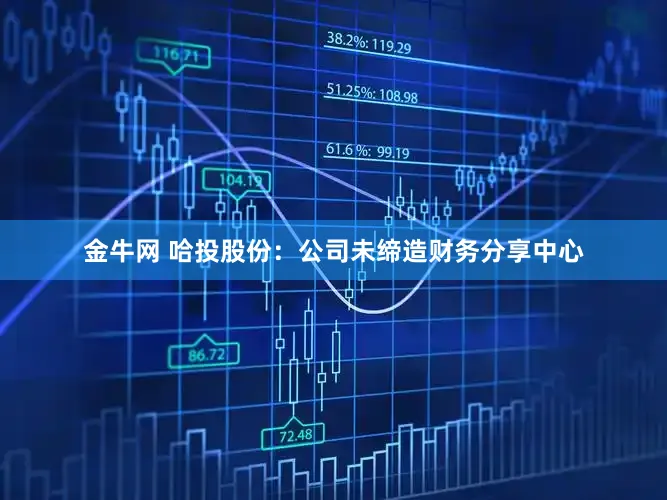 金牛网 哈投股份：公司未缔造财务分享中心