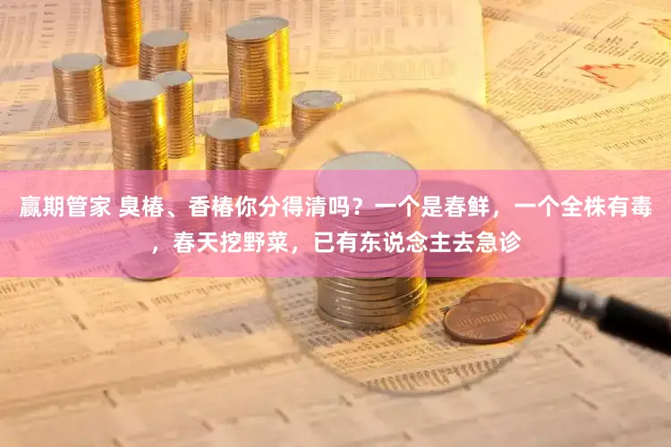 赢期管家 臭椿、香椿你分得清吗？一个是春鲜，一个全株有毒，春天挖野菜，已有东说念主去急诊