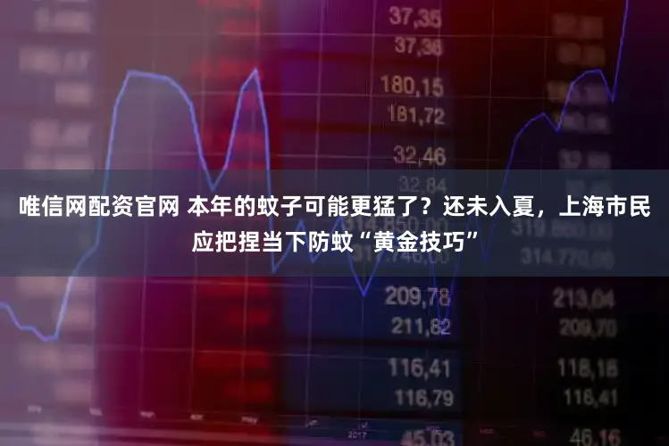 唯信网配资官网 本年的蚊子可能更猛了？还未入夏，上海市民应把捏当下防蚊“黄金技巧”