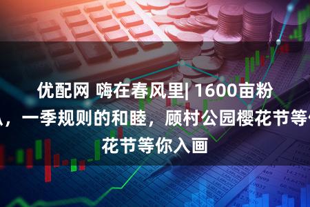 优配网 嗨在春风里| 1600亩粉色放纵，一季规则的和睦，顾村公园樱花节等你入画