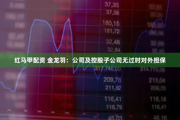 红马甲配资 金龙羽：公司及控股子公司无过时对外担保